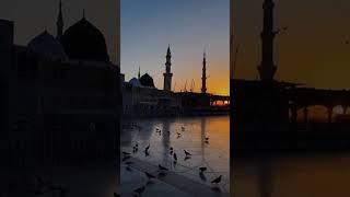 MUHAMMAD NABINA️#allah #islam | LIGHT OF ISLAM 25 |
