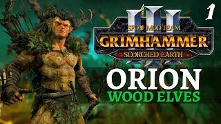 ENVIRONMENTALISM: HOW TO | SFO Immortal Empires - Total War: Warhammer 3 - Wood Elves - Orion #1