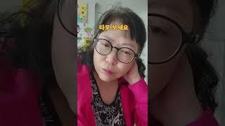 풀꽃타로