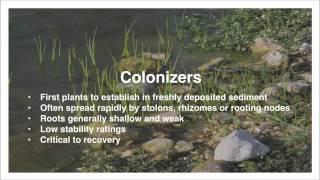 Lesson 6: The Importance of Riparian Vegetation