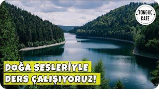 Doğa Sesleri ve Bahar Esintileriyle Ders Çalışıyoruz | Dinlendirici ve Zihin Açan Müziklerle