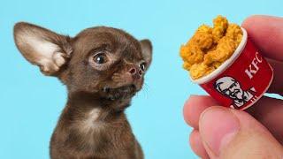 Making Tiny Foods for a Tiny Rescue Dog 