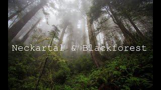 Neckartal & Blackforest