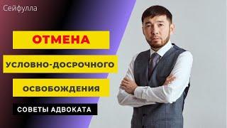 Основания отмены условно-досрочного освобождения от отбывания уголовного наказания