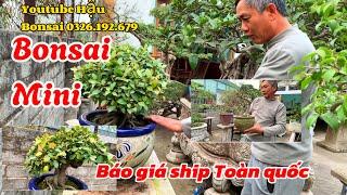 Đi Xem Báo giá cây cảnh, Bonsai mini tại nhà vườn Kiển Chi 0372.755.474 @haubonsai2942