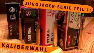 Jungjäger-Serie Teil 1: Die Auswahl des richtigen Kalibers für die Jagd