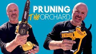 Orchard Pruning with DeWalt 20V MAX Cordless Pruner