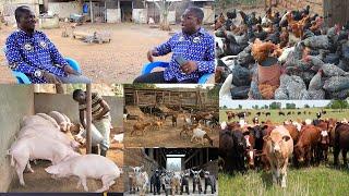 I OWN  ALL THIS FARMS -ELDER EBENEZER YAMBLI SHARES HIS STORY