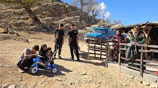 Hashem returns with a new shepherd to help dad