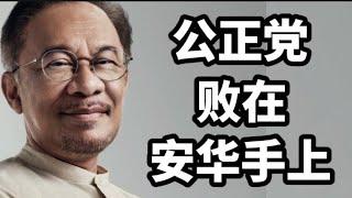 公正党败在安华手上？24/11/2024@zhiyuan9657