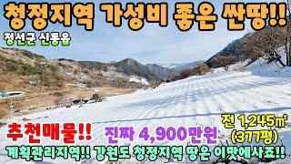 761. 싼땅!! 급매물!! 전망좋은 남향땅 정선군 신동읍 청정지역 네모난땅 농막땅 체류형쉼터 정선부동산 강원도땅 전원주택 주택매매 시골집 촌집매매