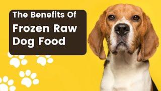 The Benefits Of Frozen Raw Dog Food - Best Frozen Raw Dog Food