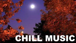 Chill Music: Best of 2024 chill out music for downtempo, ambient & lounge music chillout mix lovers