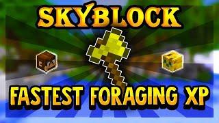 How to ease level up your Foraging Skill XP! | Hypixel Skyblock