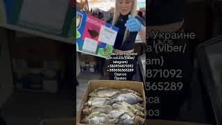 Для заказа (viber/telegram)+380934871092  +380636365289Одесса Привоз