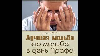Лучшая мольба в день Арафа