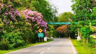 Kaziranga National Park | Scenic Drive | Beautiful Sunset View