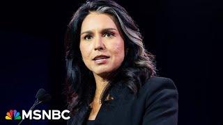 Director of national intelligence requires 'absolute objectivity': Steve Israel slams Gabbard