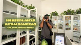 Houseplants & Film Cameras + New Plant Man P drop!!!