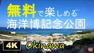 Okinawa/tourism/Ocean Expo Park/Free Scenic Spot