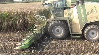 Krone Big X 1100 Feldhäcksler . Mais Ernte 2011 . Mais häckseln für Die BGA in Lanken.wmv