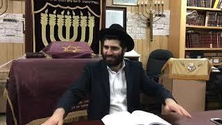 YAKOV VS ESAV.  R.SHALOM GADAEV