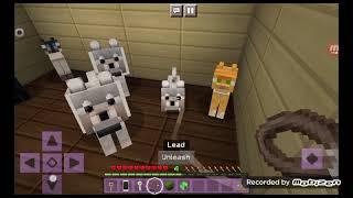 Minecraft RP: Getting a dog! PT7 (pretty long)