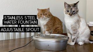 PETLIBRO STAINLESS STEEL PET WATER FOUNTAIN REVIEW | SVEN AND ROBBIE