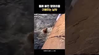 댕댕이 구조하는
