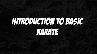 Introduction to the Basics of Karate - Mr C's Karate School