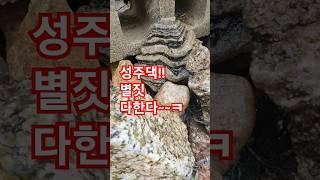 돌밭에 데려다주면 하루종일 혼자서도 잘노는 나~ㅎ 돌구경하러  혼자 떠날수도없고...마당 구석구석 굴러댕기는 돌구경중~ㅋ 석질이 모호한 #산수경석 #폭포석