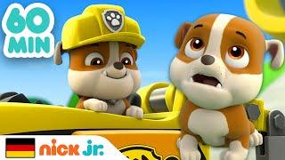 PAW Patrol | 1 Stunde mit Rubbles besten Rettungen! | Nick Jr. Deutschland