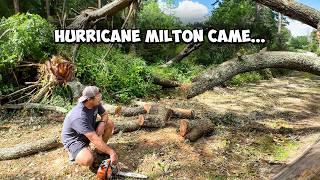 Hurricane Milton DESTROYED My Yard! Chainsaw to the Rescue