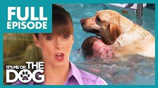 120lbs Labrador Pounces on Swimmers! | Full Episode USA