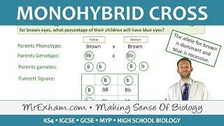 Monohybrid Cross Examples - GCSE Biology (9-1)