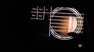 9) Guitarism 12-string acoustic guitar demo