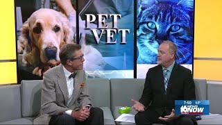 Pet Vet: Diabetes Awareness Month