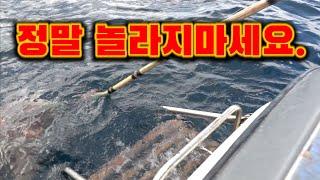 70미터 수심 20분간의 사투!!  괴물을 잡아보자!/A giant octopus caught in the sea.