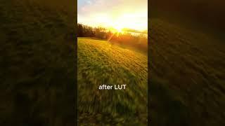 Before vs after LUT#fpv