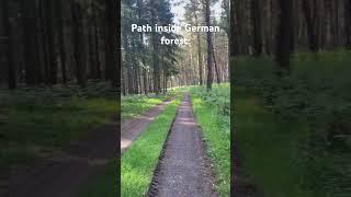 Path inside German forest #germany #hiking #path #outdoor #outside #discover #explore #travel