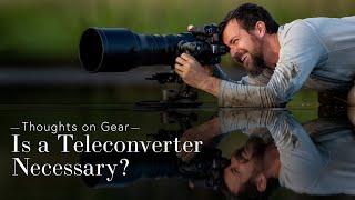 Are Teleconverters Necessary for Wildlife Photography?