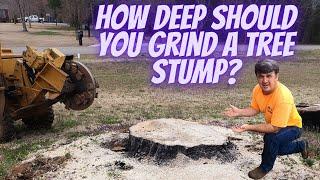 How Deep Should You Grind a Stump