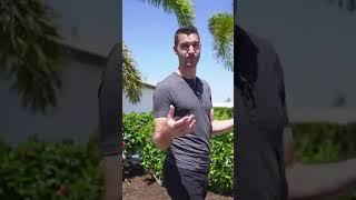 Talon Preserve Palmer Ranch Sarasota new construction homes #sarasotarealestate #newconstruction