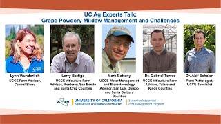 UC Ag Experts Talk: Grape Powdery Mildew Management and Challenges