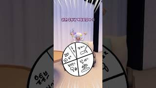 계획표대로 안하면 죽는세상?!
