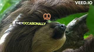 Fun sloth facts