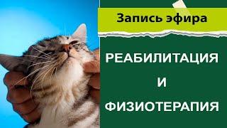 Физиотерапия и Реабилитация для животных