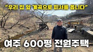 경기도 여주 500평 전원주택 급하게 내놓습니다 "여기 백숙 음식점하면 대박날 수도 있어요"