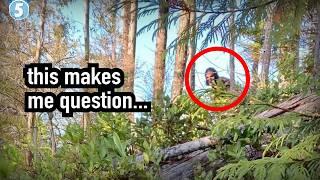 5 Most Compelling Mythical Creature Videos I've Ever Seen...
