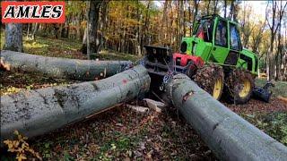 Začiatok nového porastu/Orvex LT a Zetor Proxima/Working in forest @AmlesOrvexLT100